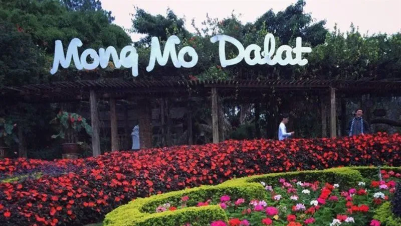 Du Lịch Đồi Mộng Mơ Đà Lạt Trải Nghiệm, Khám Phá và Cẩm Nang