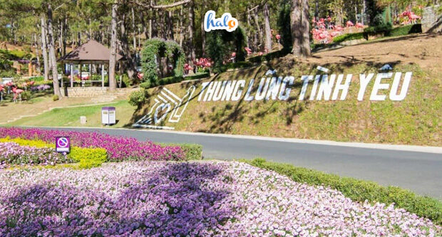 Giá Vé Tour Đà Lạt Thung Lũng Tình Yêu