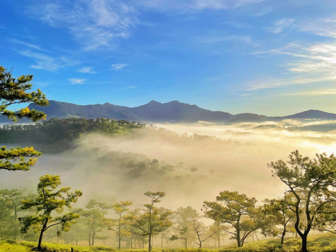 Săn Mây Đà Lạt Trải Nghiệm Ngắm Mây Tuyệt Đỉnh